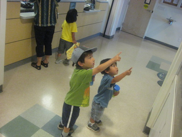 Oscar's 2-year doctor visit - 2'10"/25lbs.