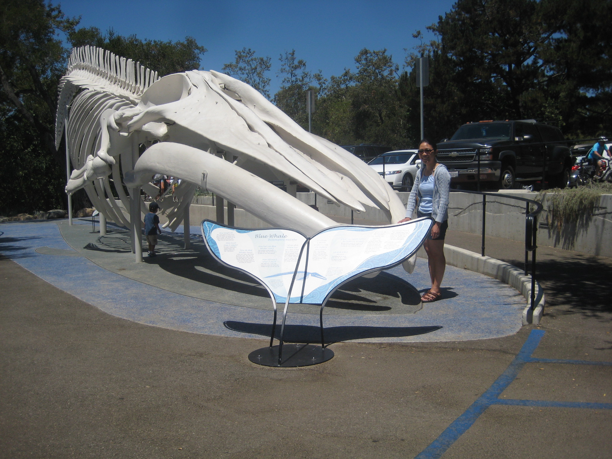 Santa Barbara Museum of Natural History