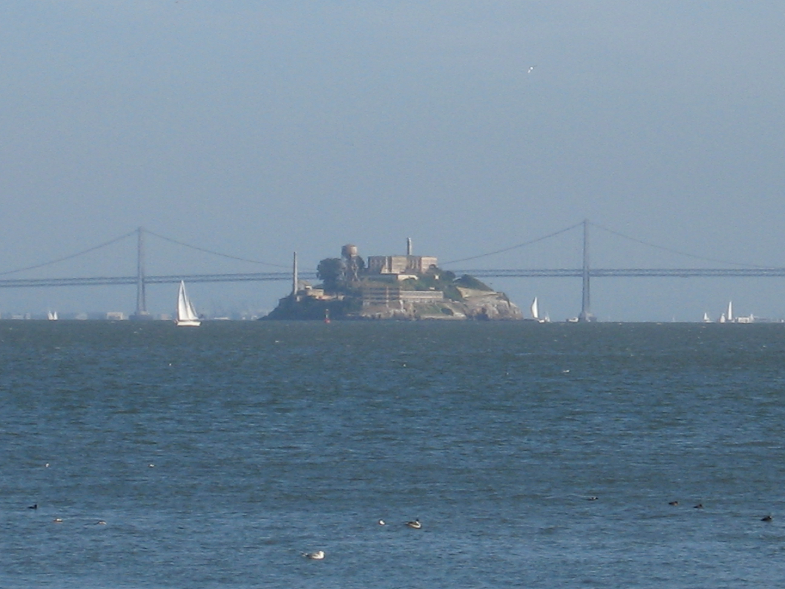 Alcatraz