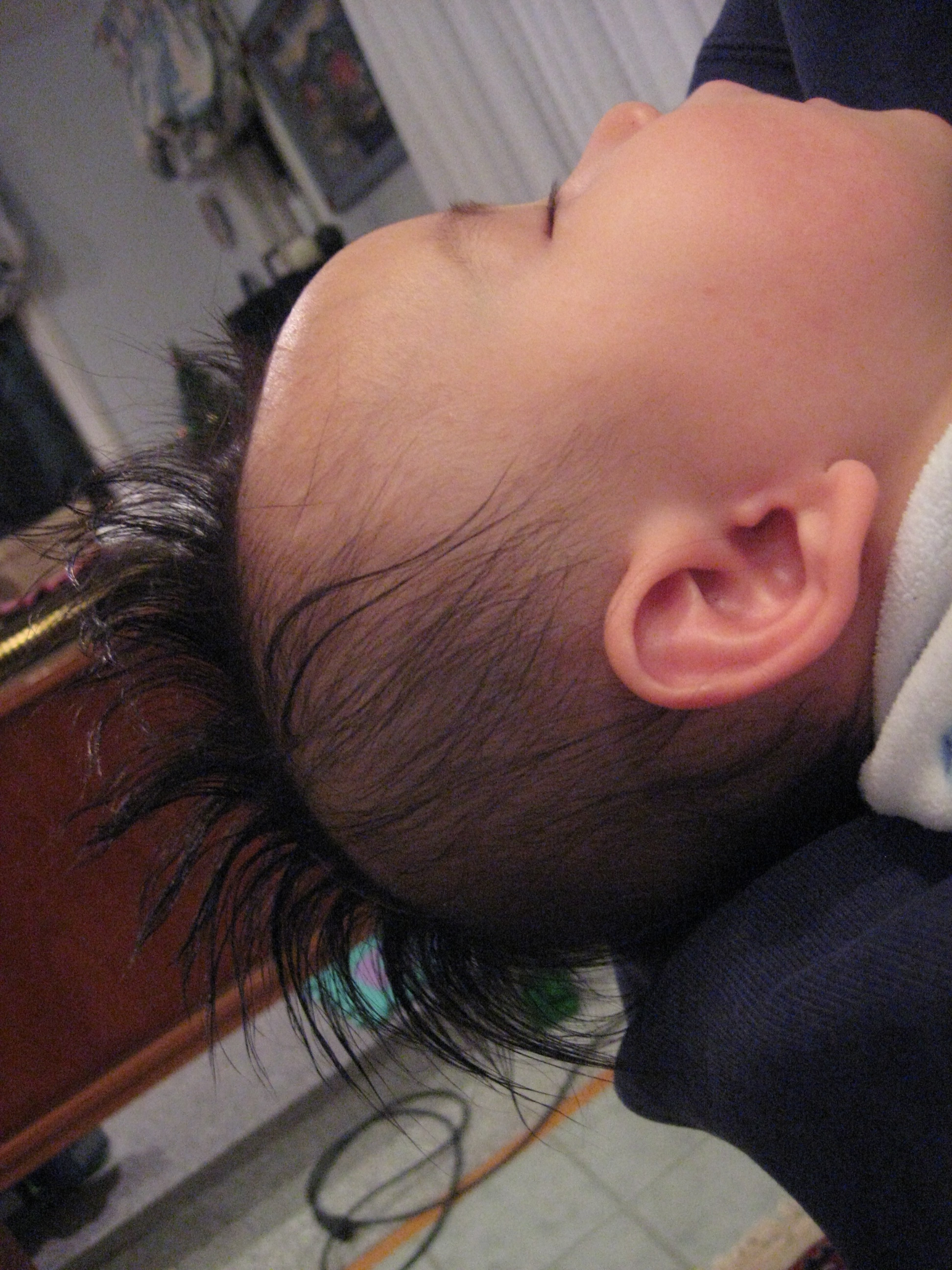 Oscar's Punk Mohawk