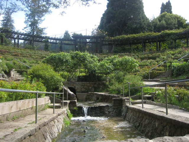 Berkeley Rose Garden